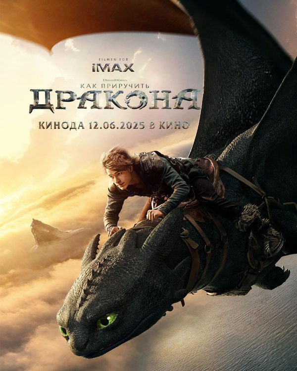 Как приручить дракона - постер